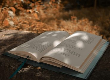 richa-sharma-p6ZWMgiiE5c-unsplash